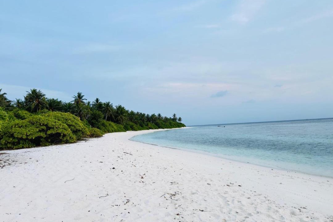 Photo of Others in Feridhoo