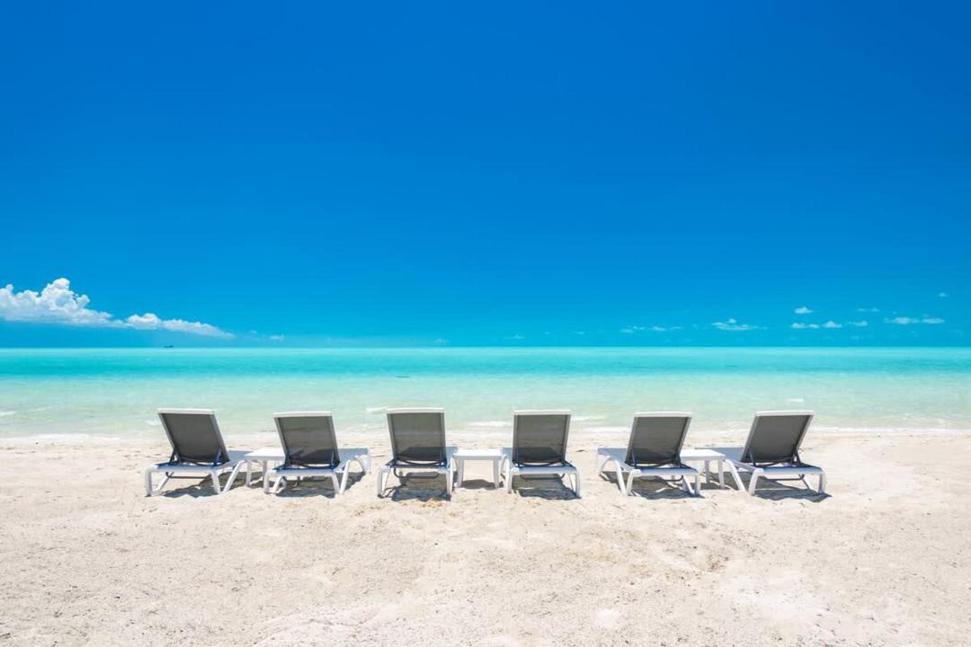 Photo of Others in Long Bay