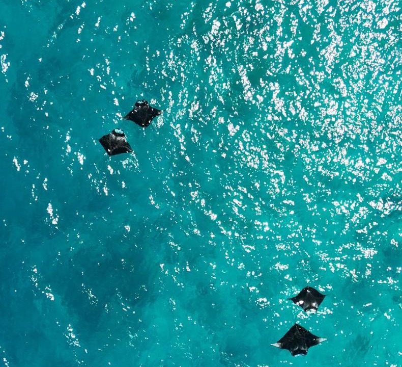 Photo of Others in Mahibadhoo
