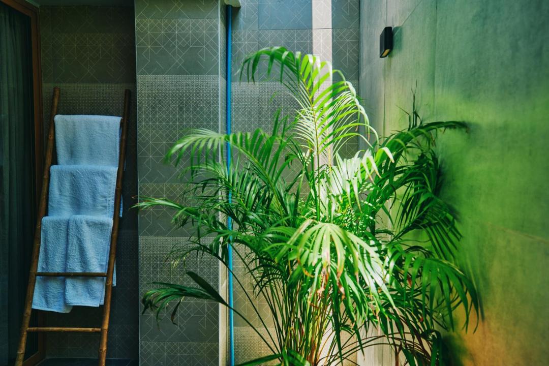 Photo of Bathroom in Maamigili