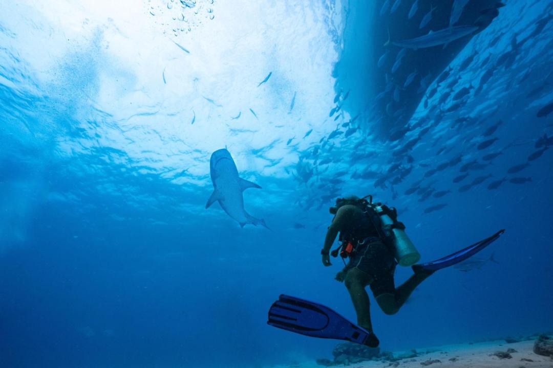 Photo of Others in Himmafushi