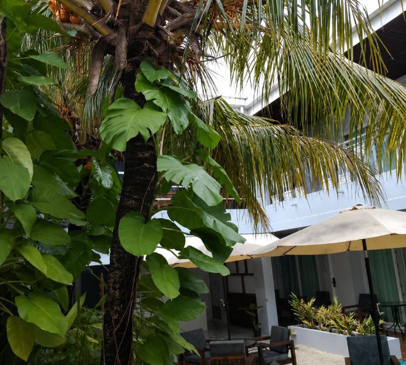 Photo of Others in Himmafushi