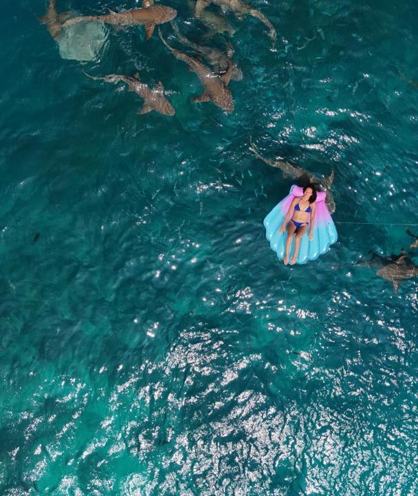 Photo of Others in Mahibadhoo