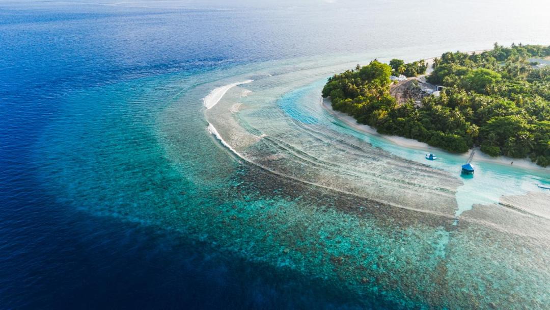 Photo of Others in Baa Atoll