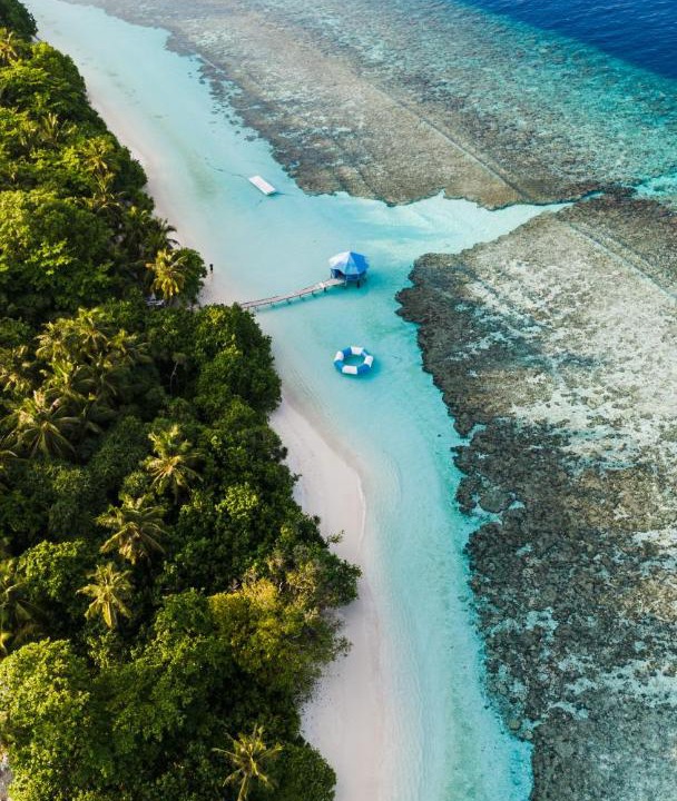 Photo of Others in Baa Atoll