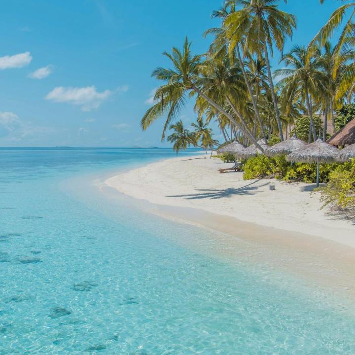 Photo of Others in Hulhumale