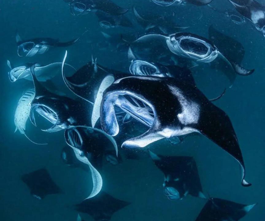 Photo of Others in Dharavandhoo