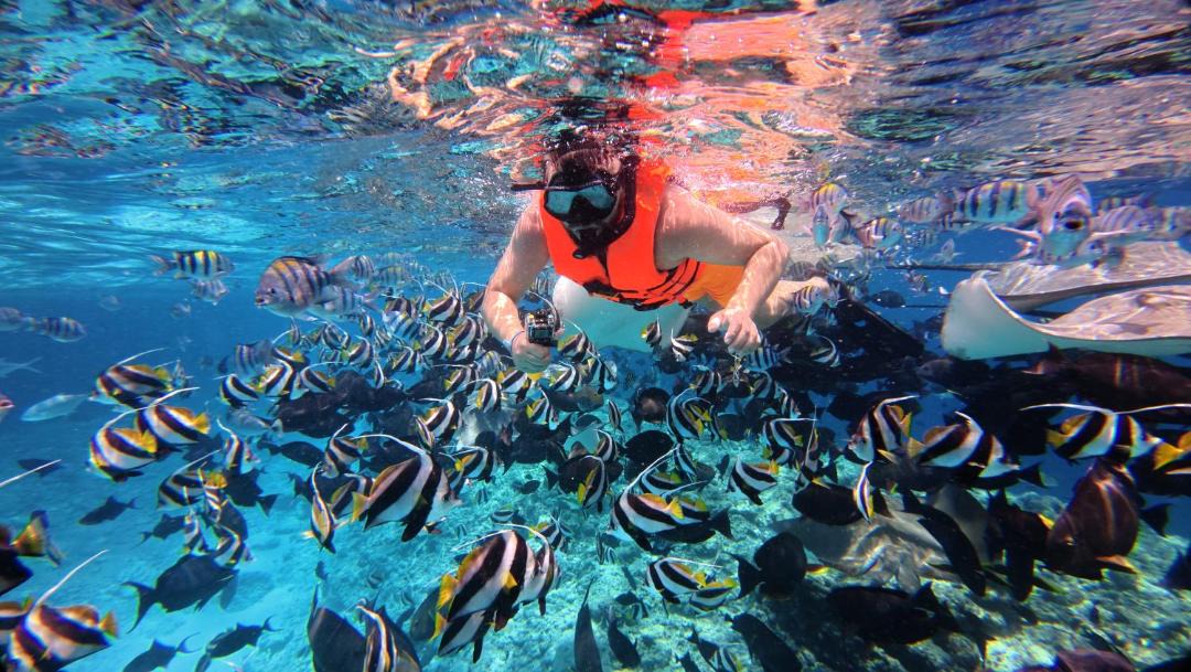 Photo of Others in Maafushi