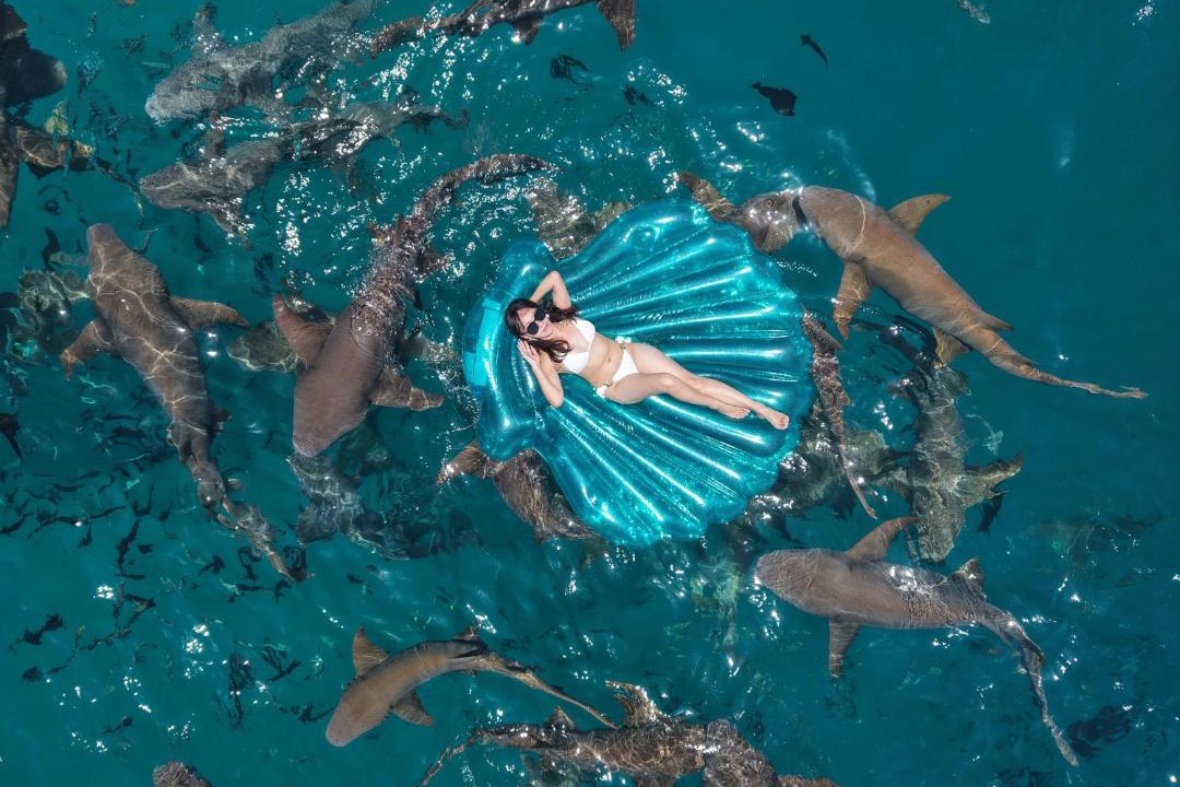 Photo of Others in Maafushi