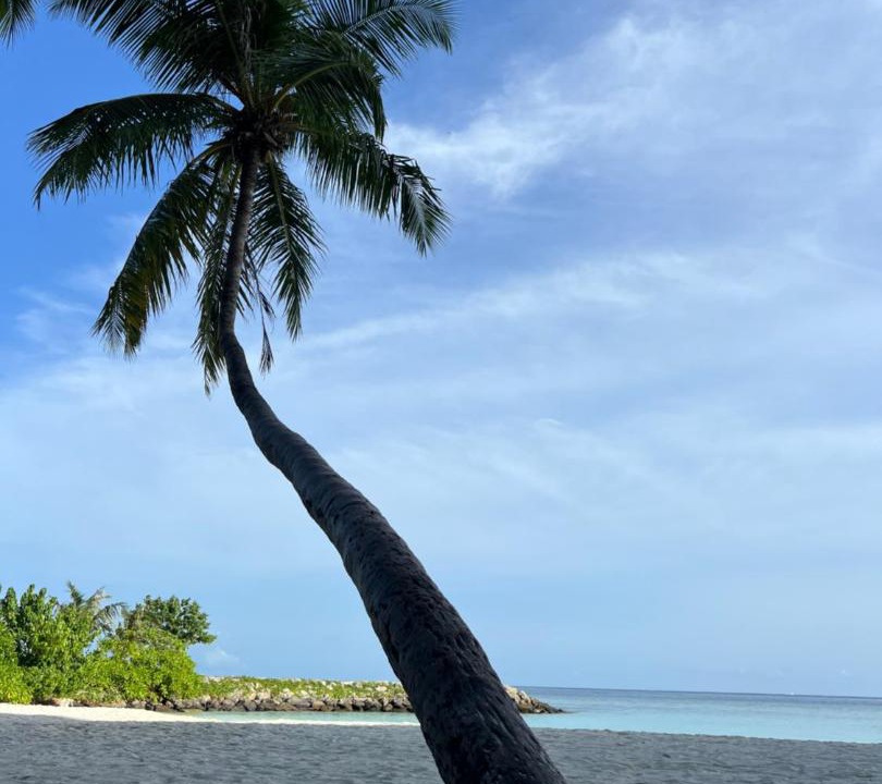 Photo of Others in Maafushi