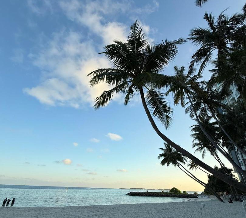 Photo of Others in Maafushi