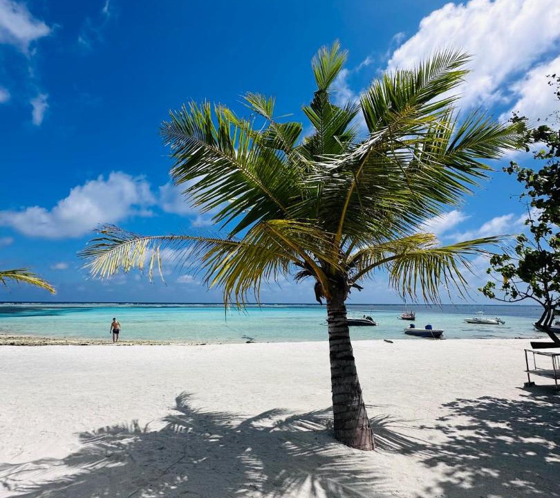 Photo of Others in Maafushi