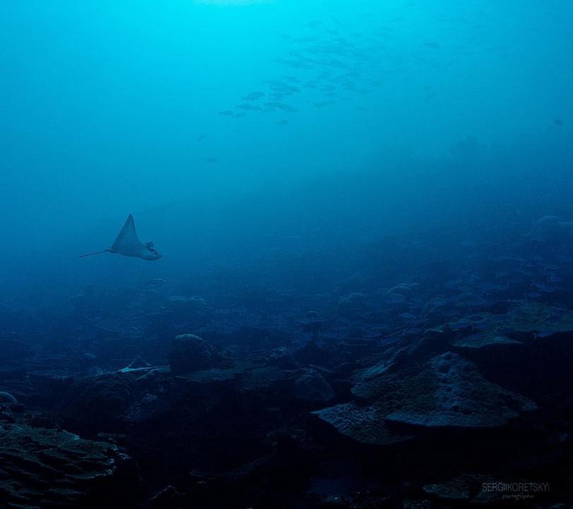 Photo of Others in Gemanafushi