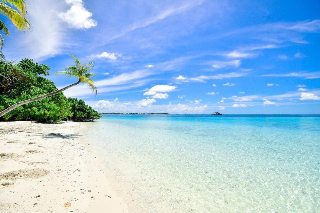 Photo of Others in Providenciales
