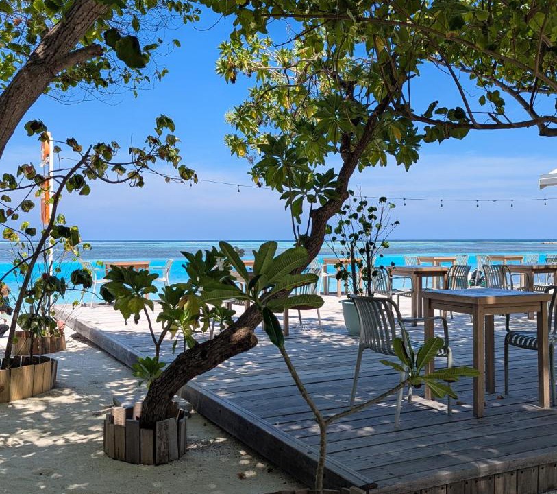 Photo of Others in Dhiffushi
