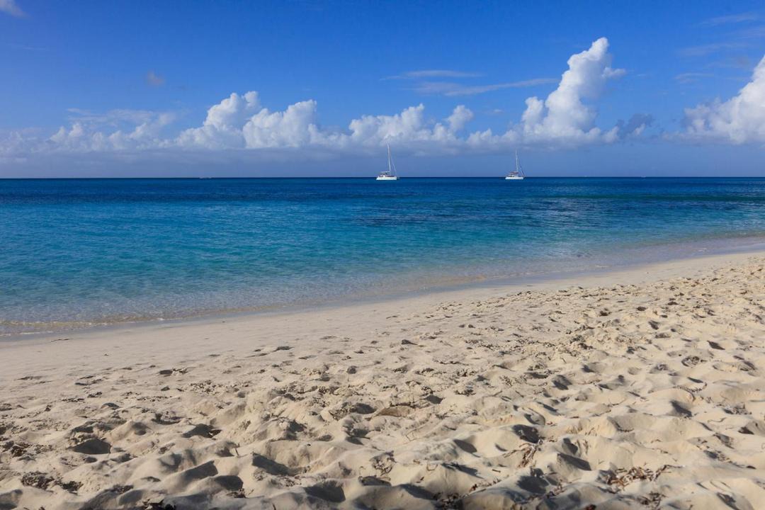 Photo of Others in The Bight