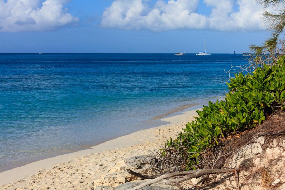 Photo of Others in The Bight