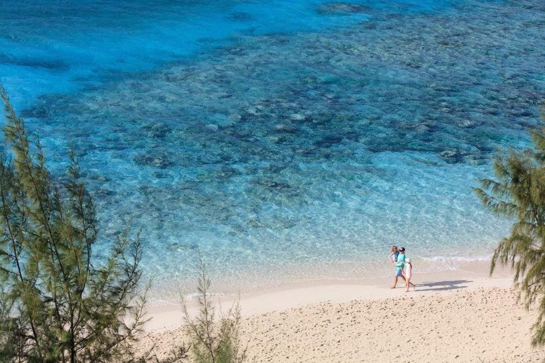 Photo of Others in The Bight