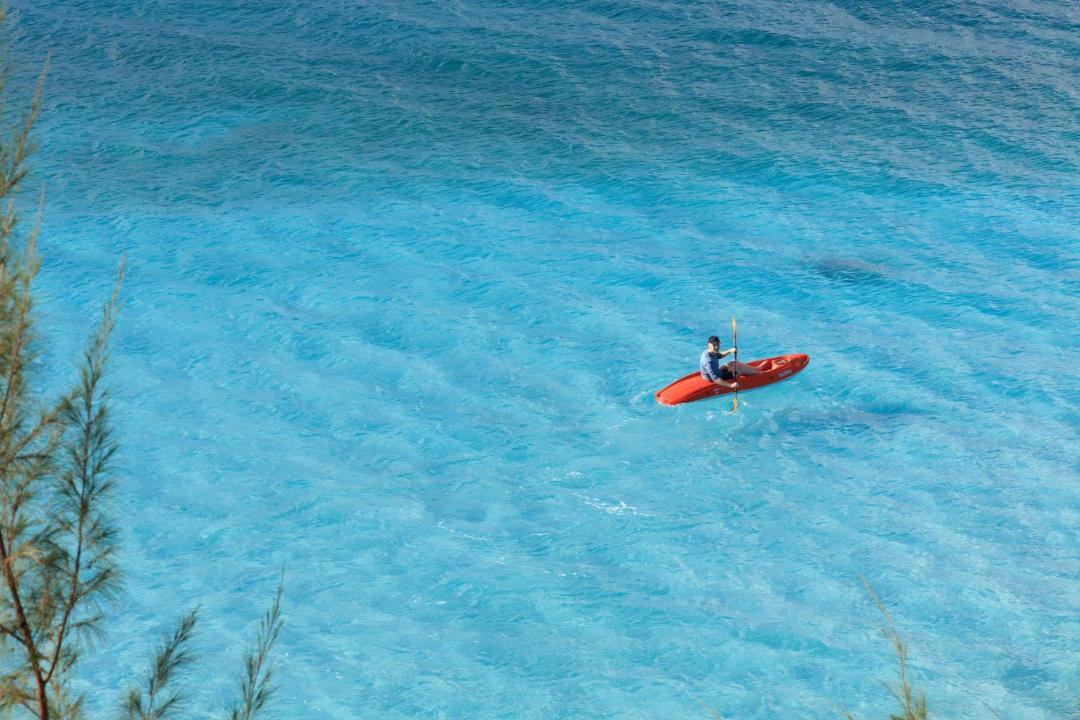 Photo of Others in The Bight