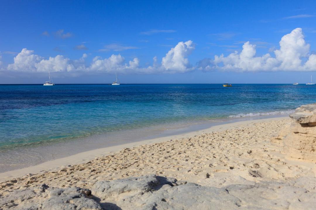 Photo of Others in The Bight