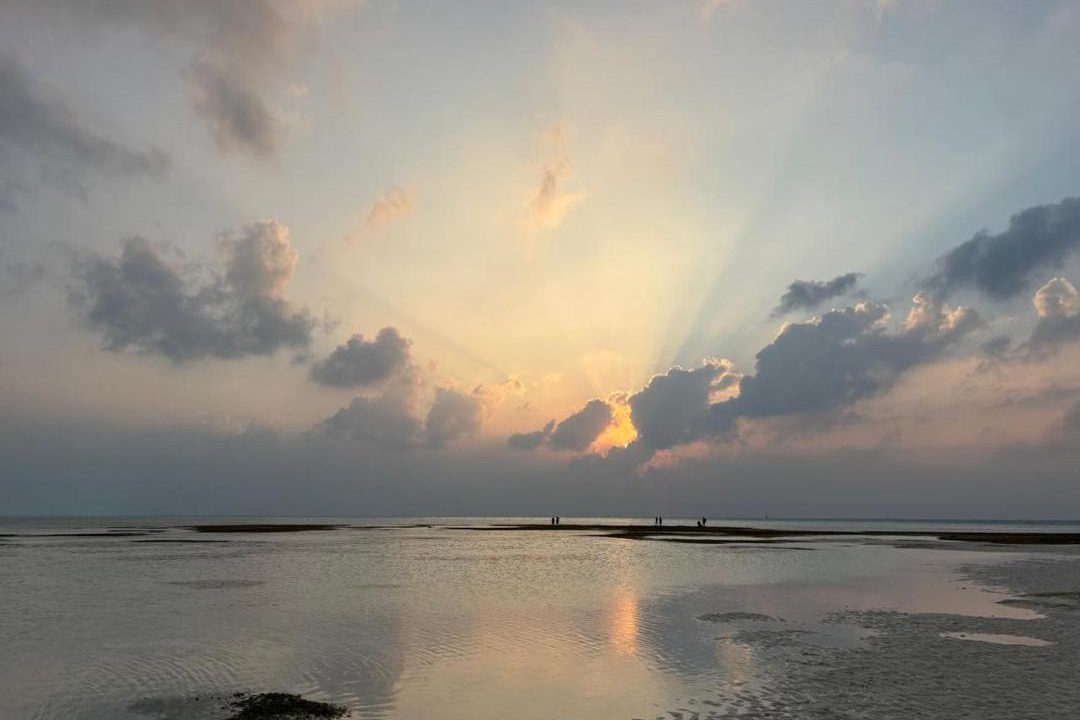 Photo of Others in Dhiffushi