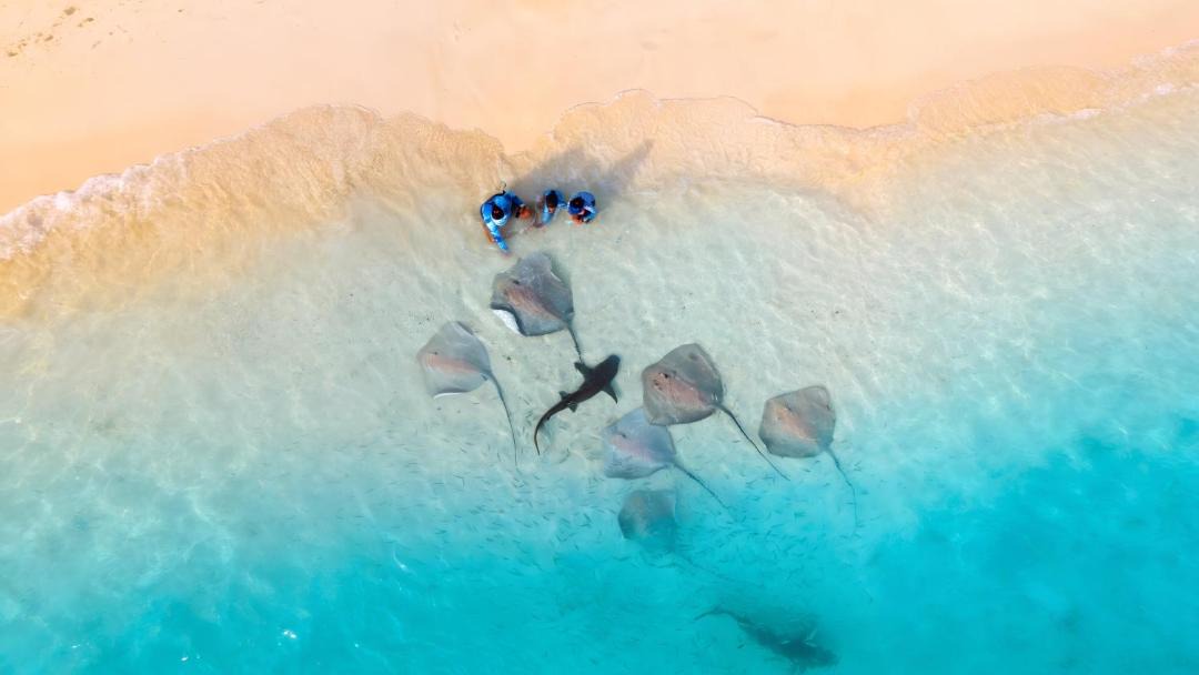 Photo of Human In Picture in Fulidhoo