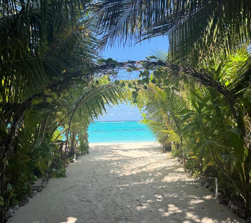 Photo of Others in Thoddoo