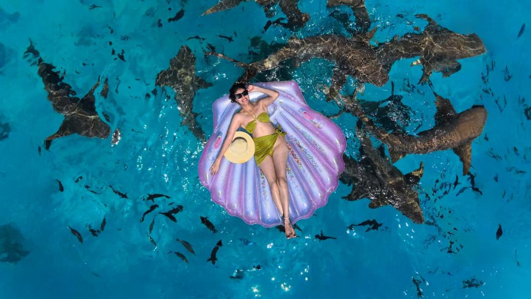 Photo of Others in Maafushi