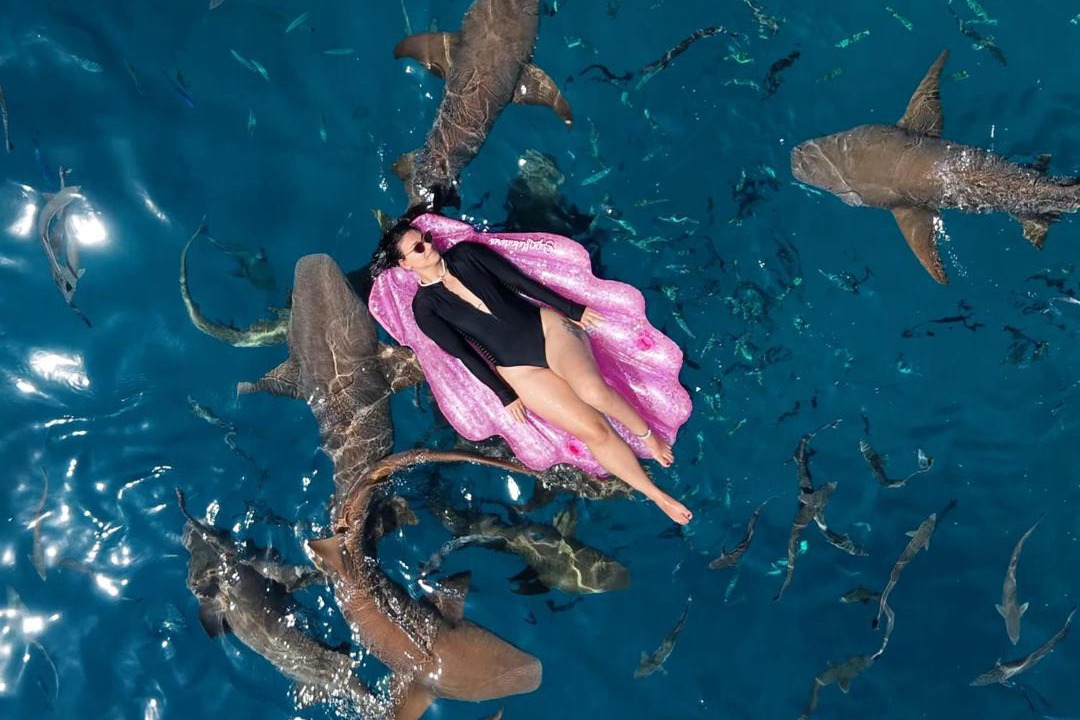 Photo of Others in Maafushi