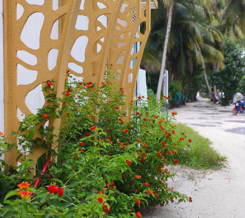 Photo of Others in Thoddoo