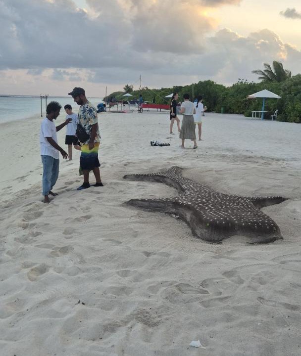 Photo of Others in Dhigurah