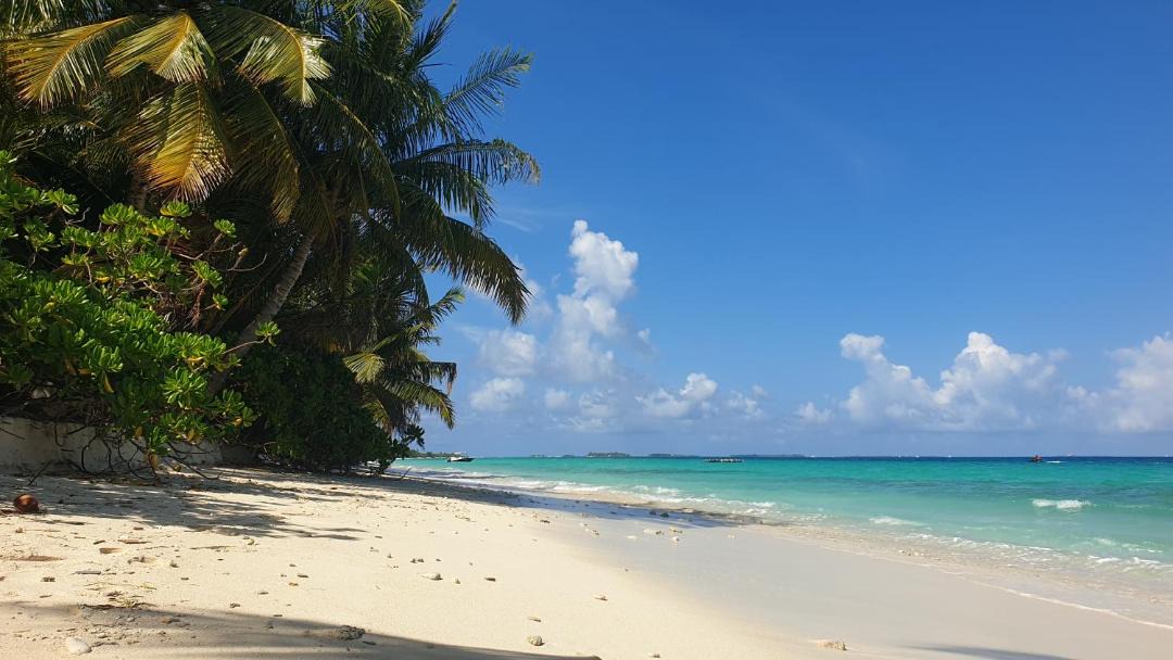 Photo of Others in Dhigurah