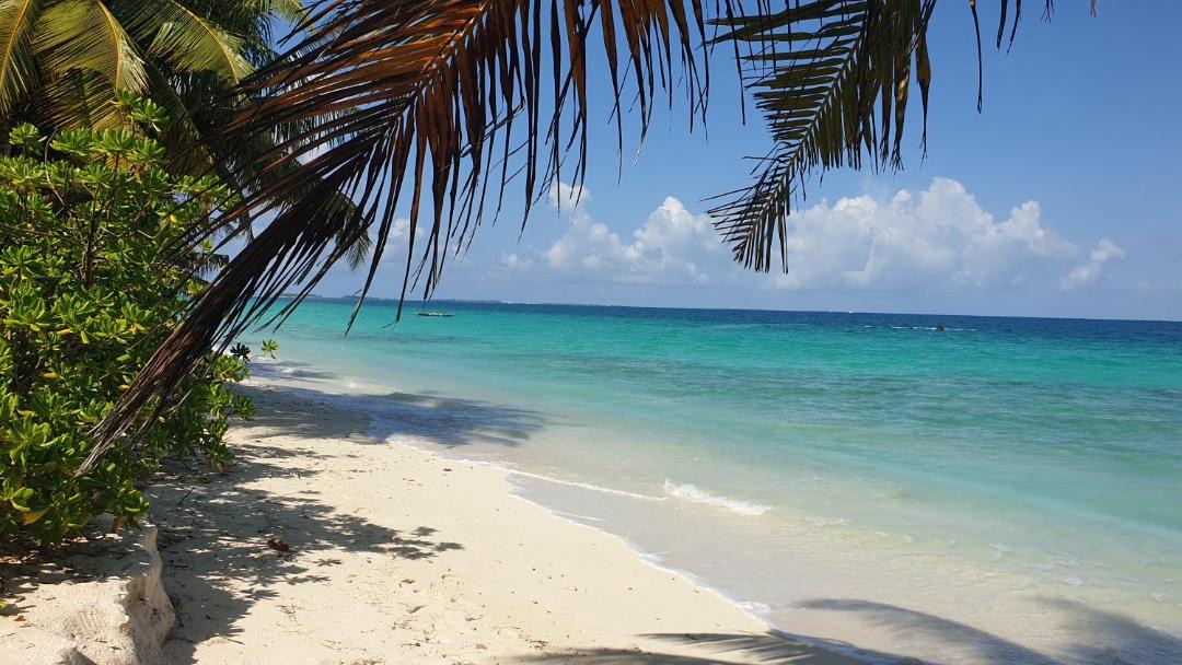 Photo of Others in Dhigurah