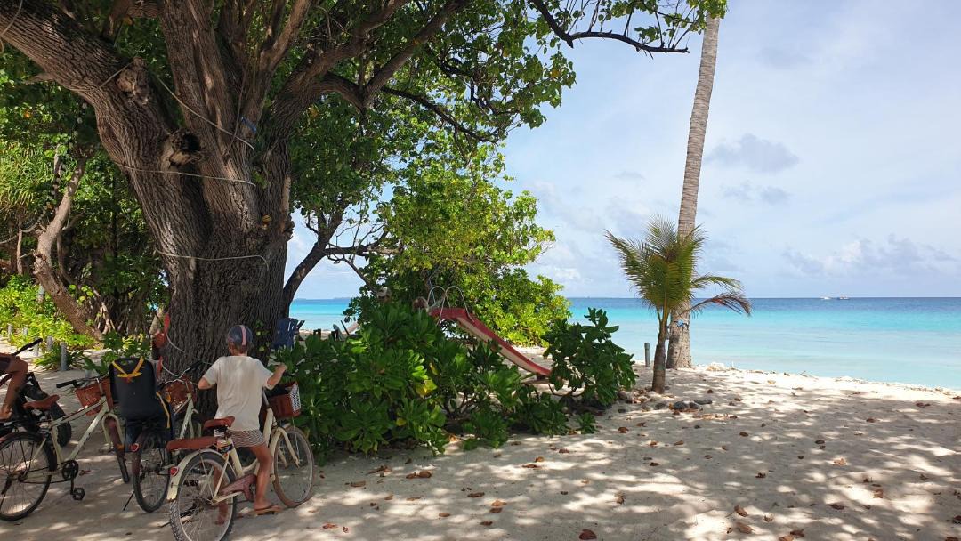 Photo of Others in Dhigurah