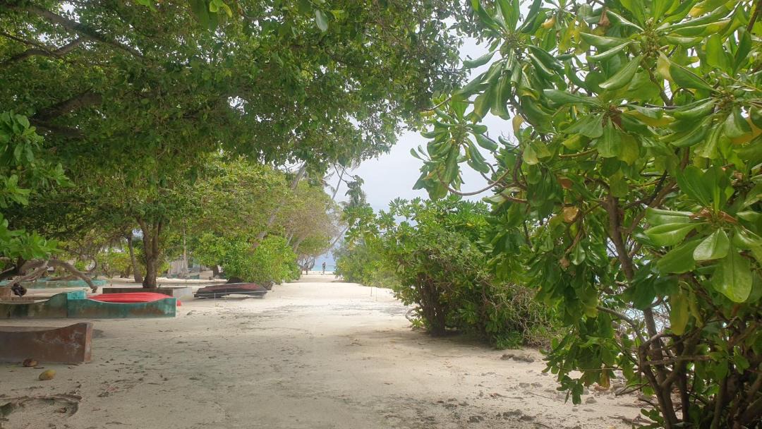 Photo of Others in Dhigurah