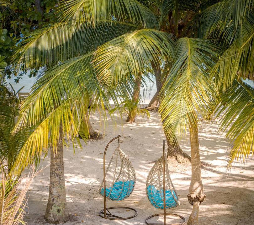 Photo of Others in Dharavandhoo