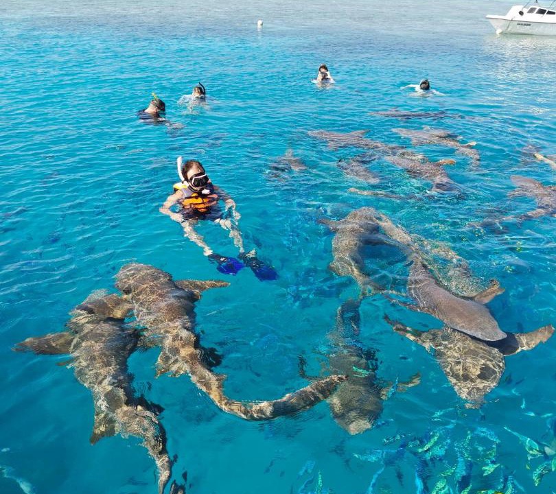 Photo of Others in Mahibadhoo