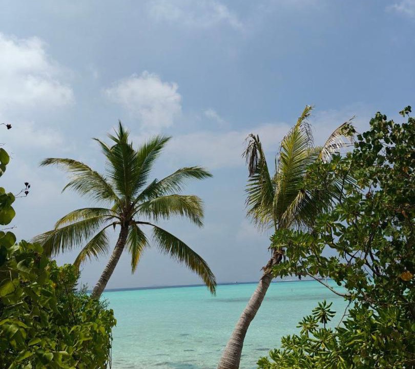 Photo of Others in Mahibadhoo