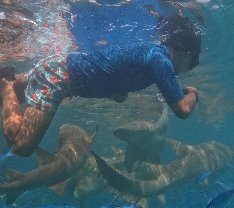 Photo of Others in Mahibadhoo