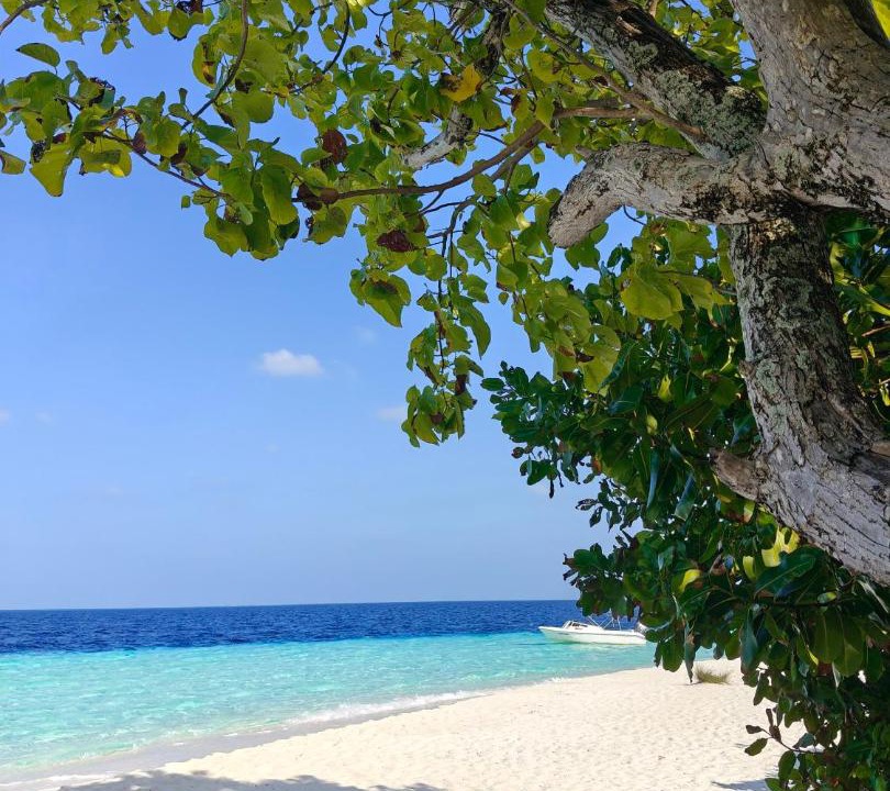 Photo of Others in Mahibadhoo