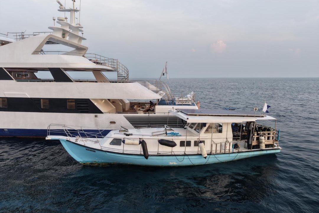 Photo of Others in Farukolhufushi Island