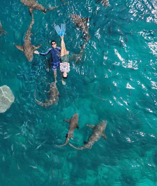 Photo of Others in Mahibadhoo