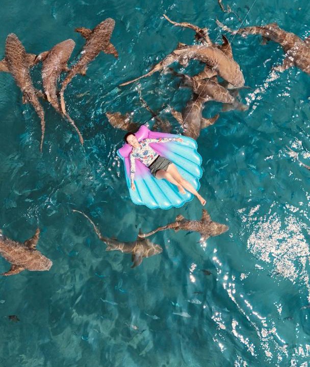 Photo of Others in Mahibadhoo