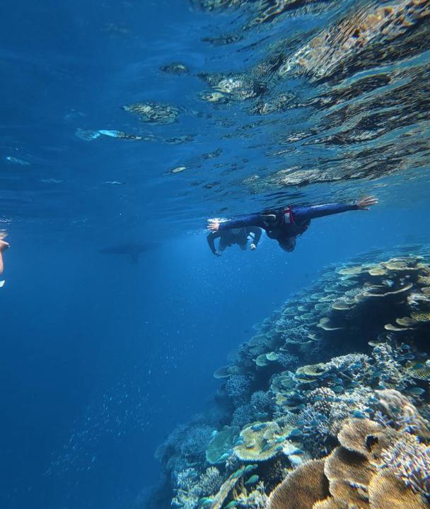 Photo of Others in Mahibadhoo