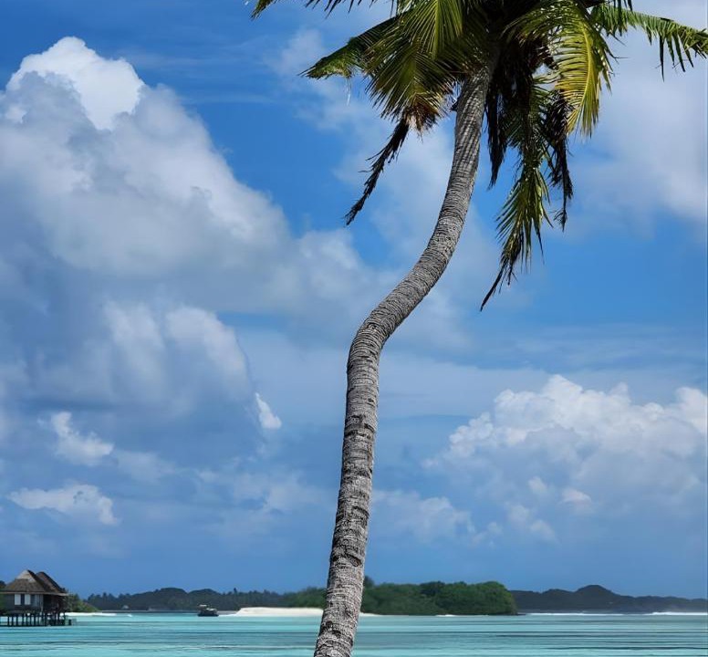 Photo of Others in Huraa