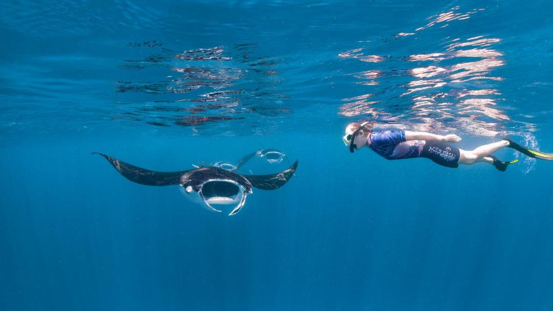 Photo of Others in Mahaanaelhihuraa Island