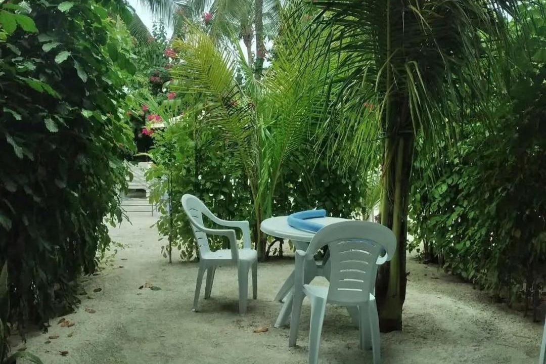 Photo of Others in Thoddoo