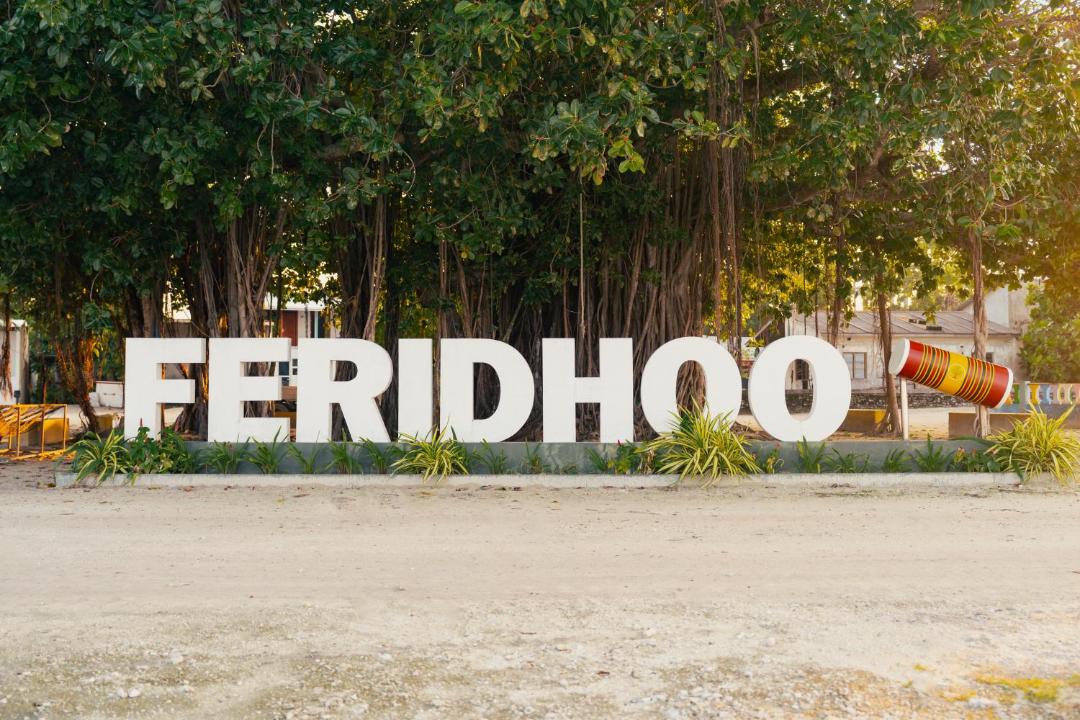 Photo of Others in Feridhoo