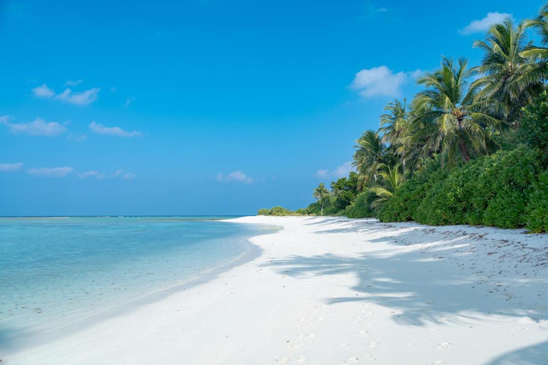 Photo of Others in Feridhoo