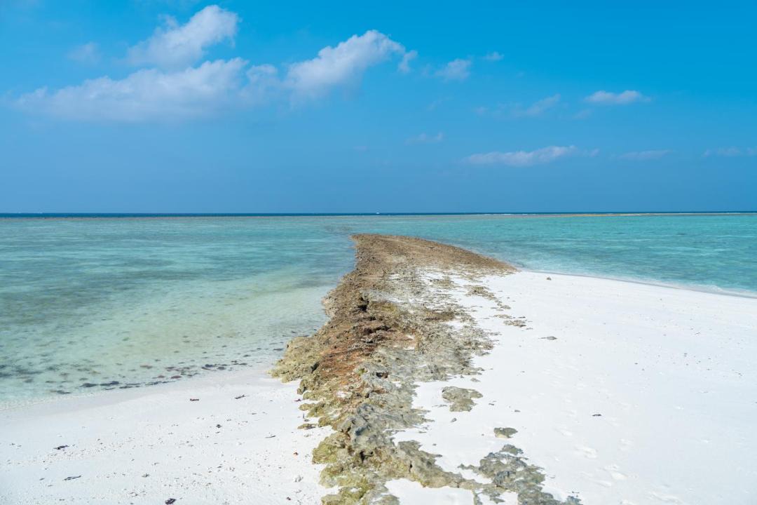 Photo of Others in Feridhoo